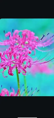 ありがとうございました✨