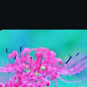 ありがとうございました✨