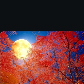 ありがとうございました✨