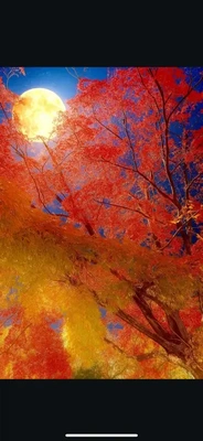 ありがとうございました☺️