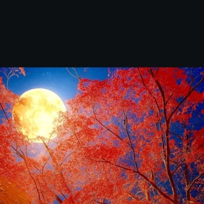 ありがとうございました☺️