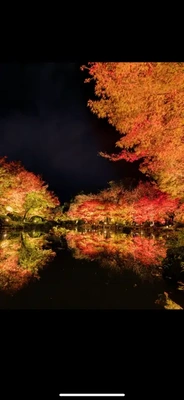 ありがとうございました♪