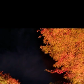 ありがとうございました♪