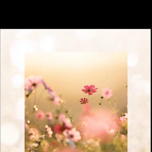 出勤致します✨