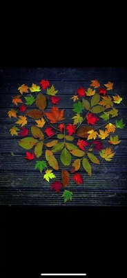 ありがとうございました♪