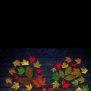 ありがとうございました♪