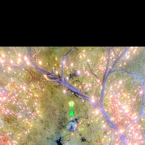 ありがとうございました☺️