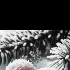 ありがとうございました✨