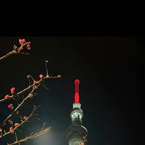 ありがとうございました✨