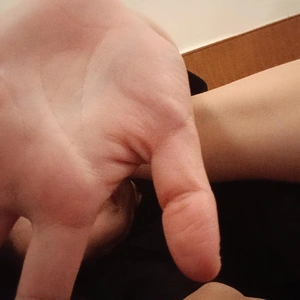 掌。