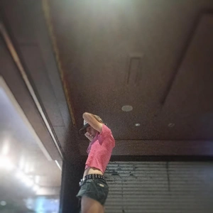 11/4(火)が最終日になります。