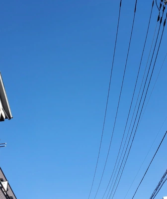 久しぶりの青空☀