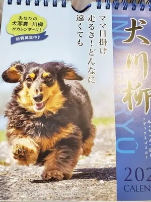 やっと届きました🎁