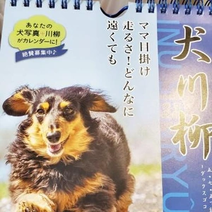 やっと届きました🎁