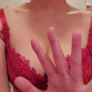 おはようございます🐤