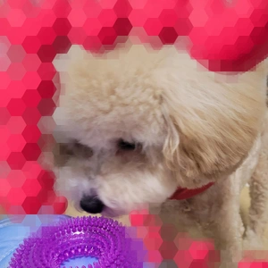 ♡ありがとう♡
