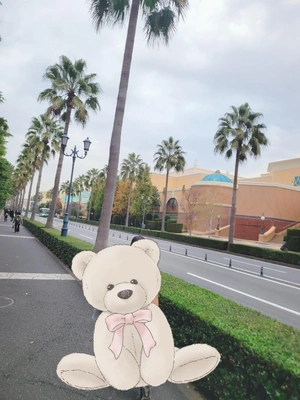 12時～出勤✩⡱