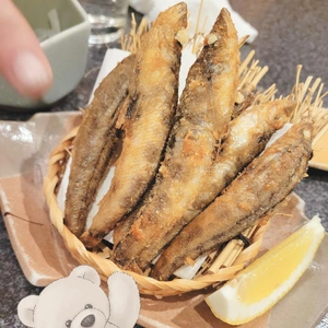 12時～出勤✩⡱