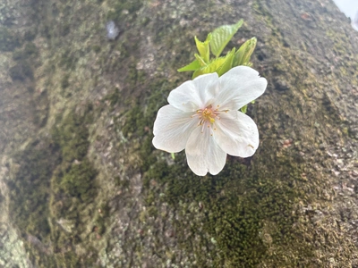 明日出勤します❤️