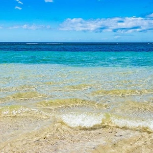 本日はお休みです🙇‍♀️