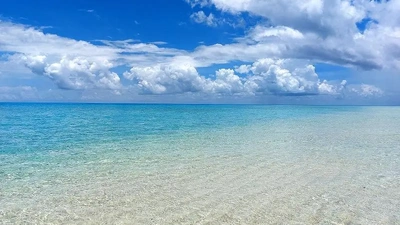 本日はお休みです🙇‍♀️