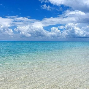 本日はお休みです🙇‍♀️