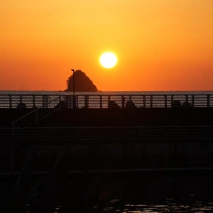 タイムリーだけど