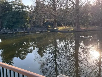 こんにちは☀️