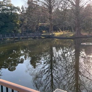 こんにちは☀️